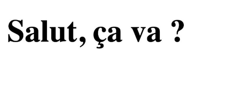 Notre route Remix réussit à appeler une méthode définie dans notre application NestJS