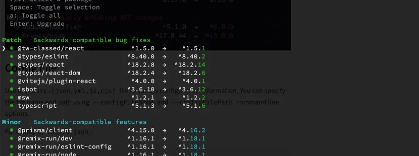 NPM Check Updates