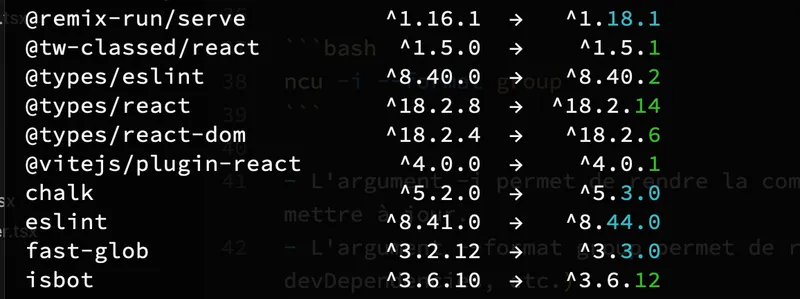 Récapitulatif des package installés via NPM Check Updates