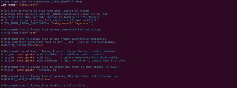 Configuration du fichier zshrc. Beaucoup de lignes s'y retrouvent et il est simple de s'y perdre